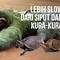 Binatang Sloth Adalah