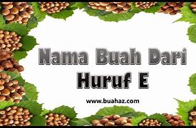 Nama Hewan Yang Berasal Dari Huruf E